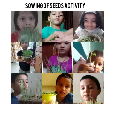 Sowing Of Seeds Activity