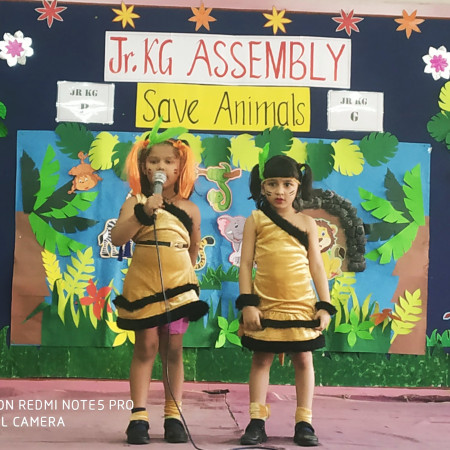Save Animals -  Jr K.G